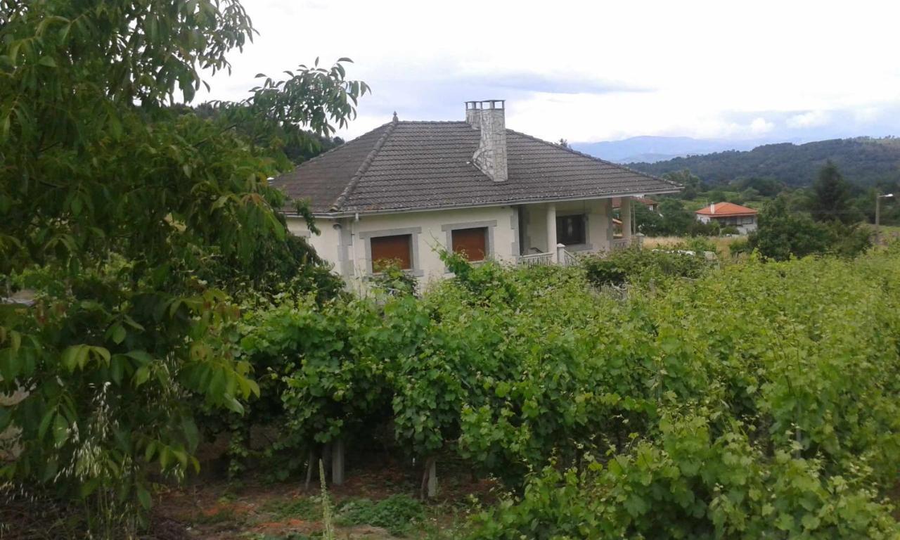 Villa Con Piscina En Panton Ribeira Sacra Galicia Ideal Para Familias Bagian luar foto